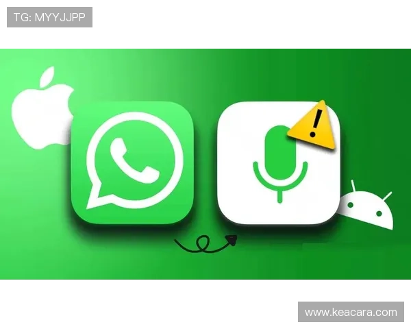 乐健体育app官网用户评价与使用反馈汇总分析 乐健体育app官网用户评价与使用反馈汇总分析